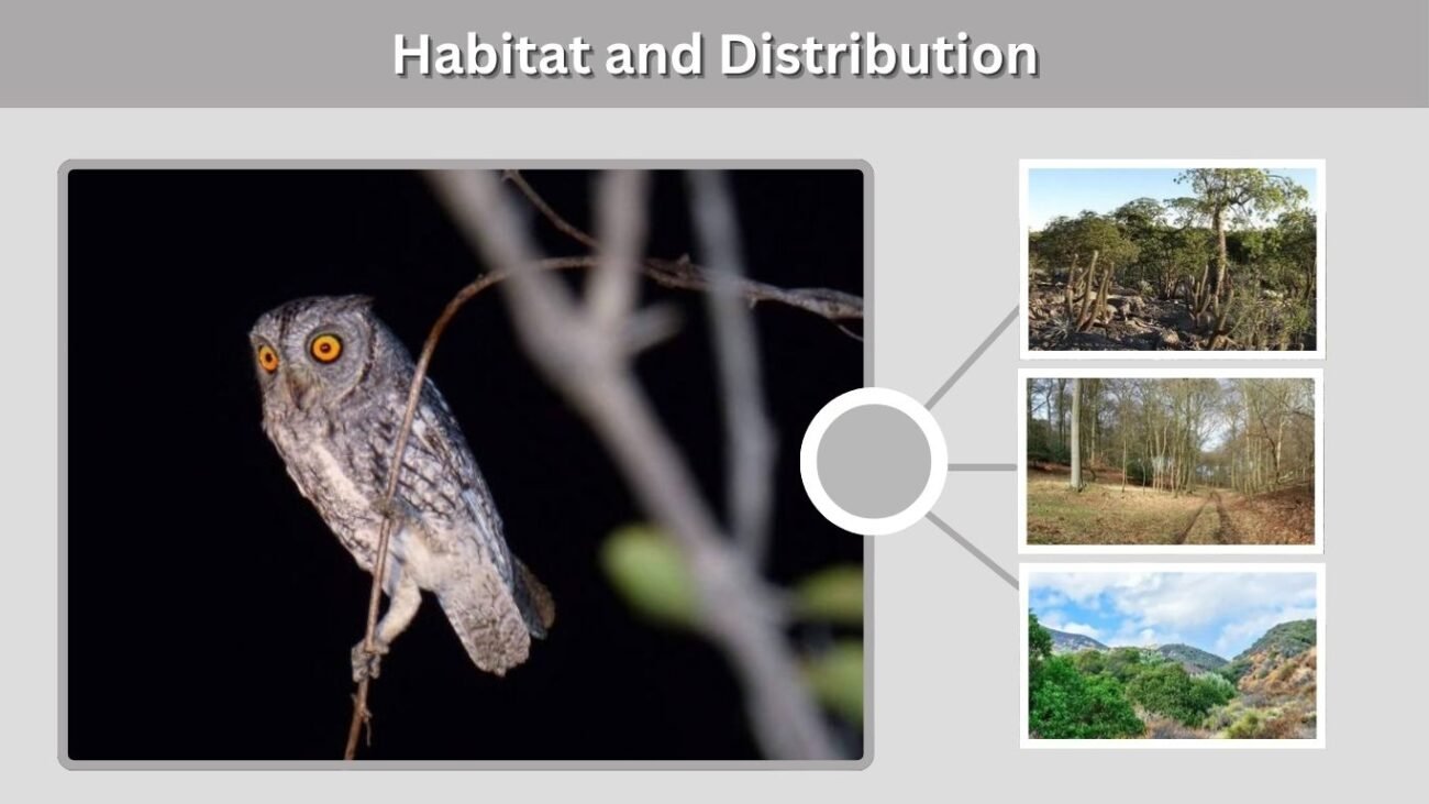 Habitat and Distribution