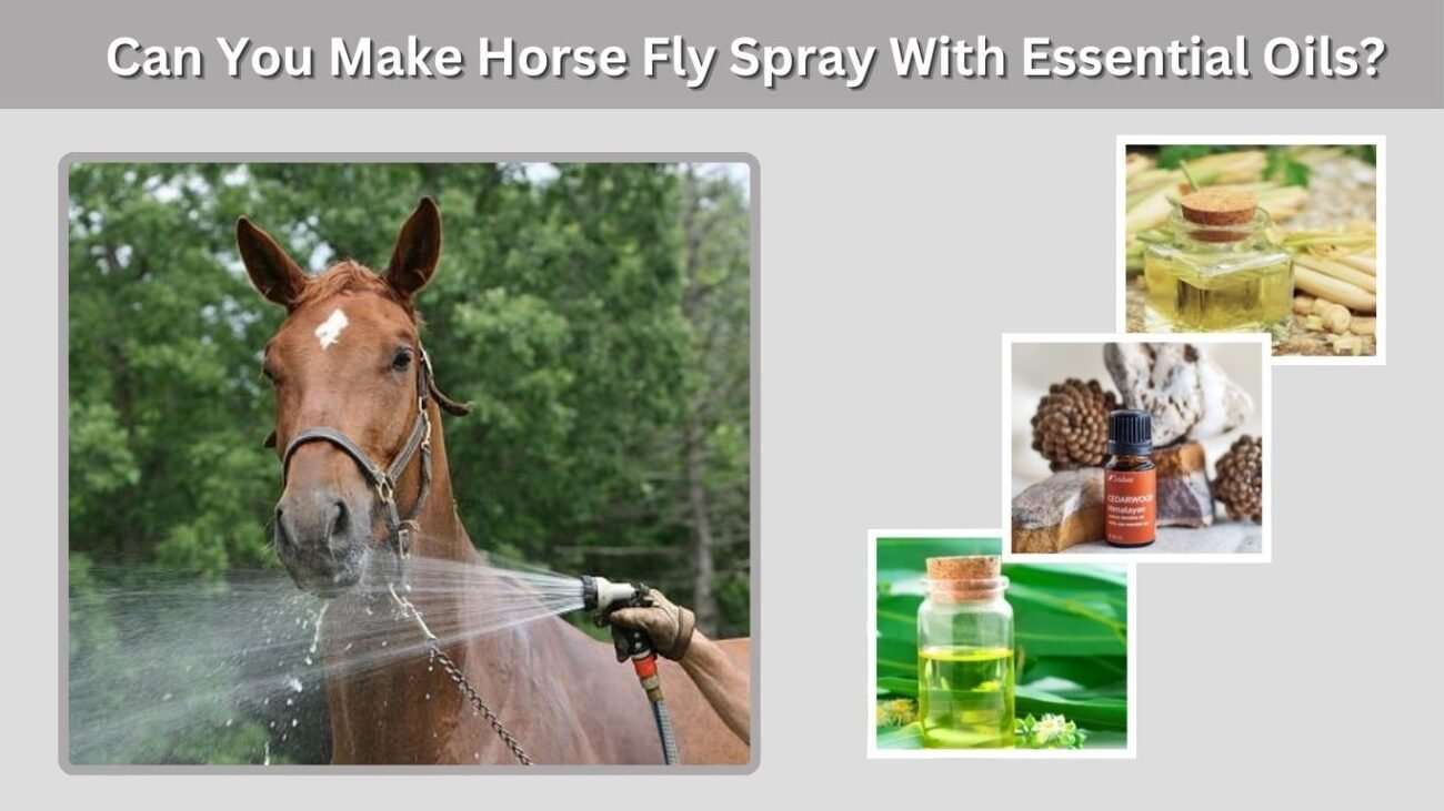 Can You Make Horse Fly Spray With Essential Oils?