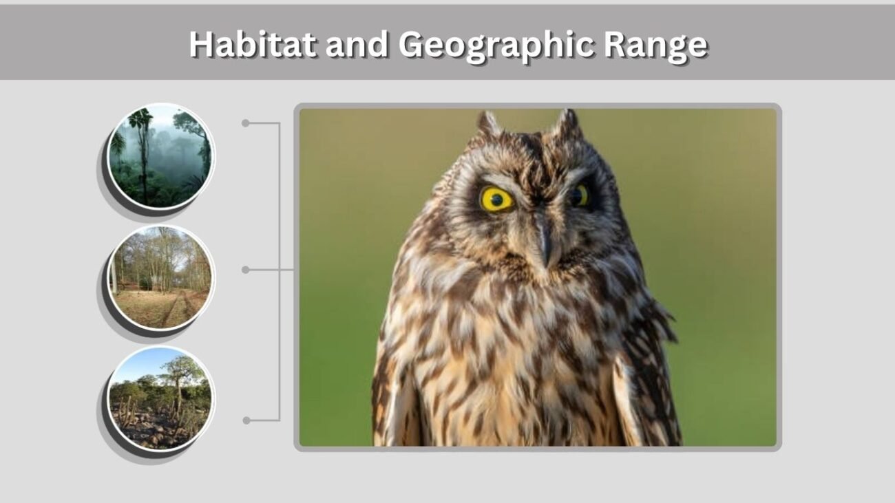 Habitat and Geographic Range