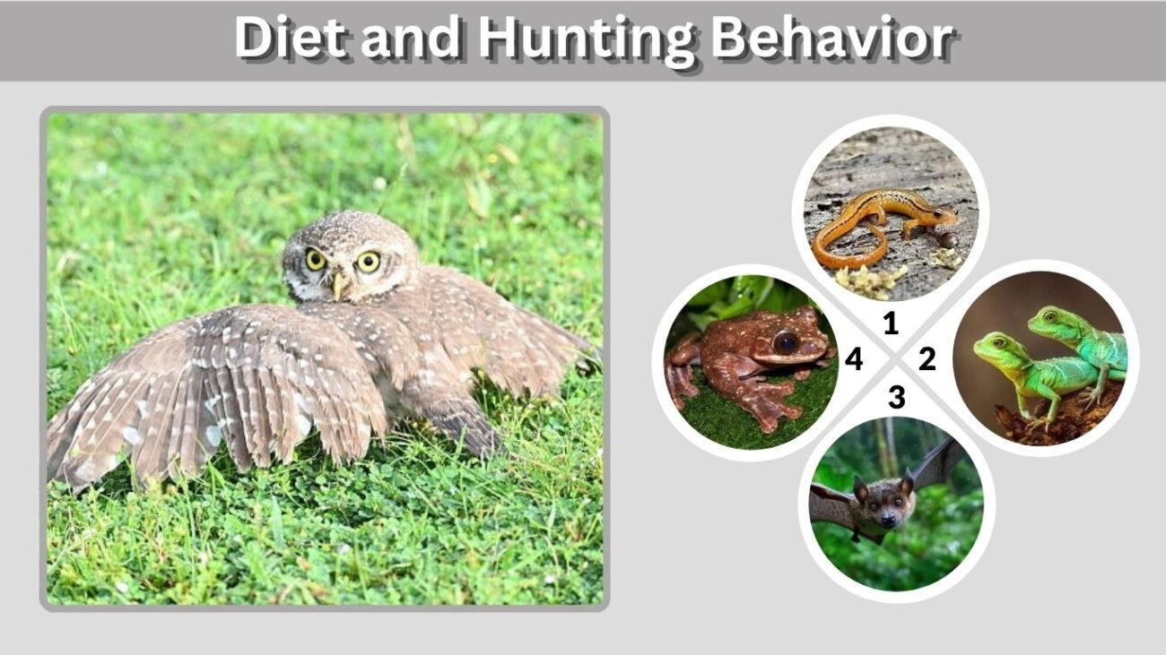Diet and Hunting Behavior