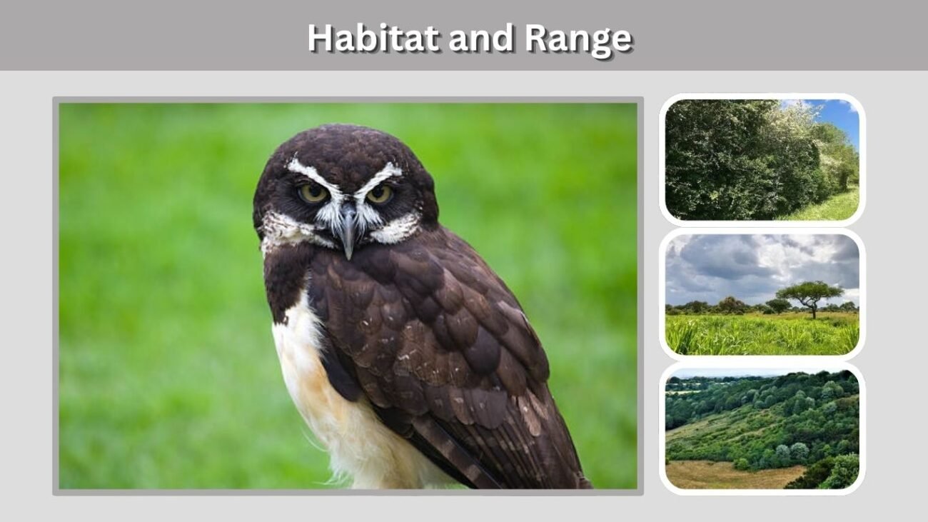 Habitat and Range