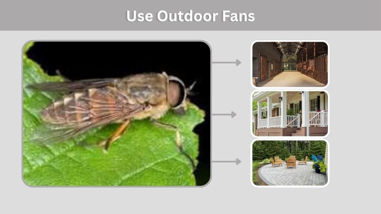 Use Outdoor Fans