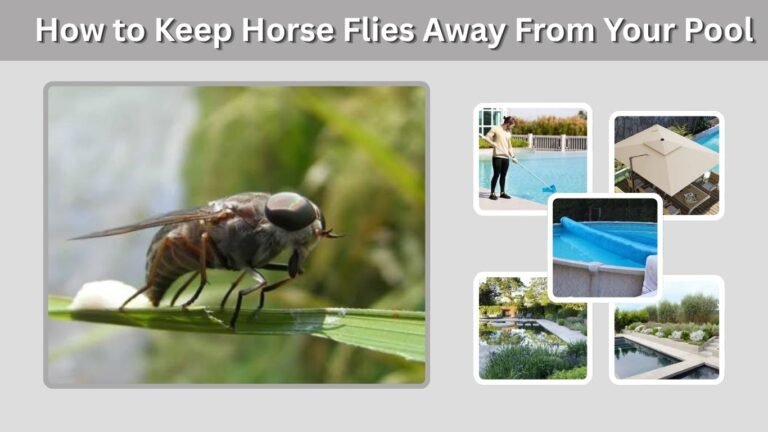How to Keep Horse Flies Away From Your Pool
