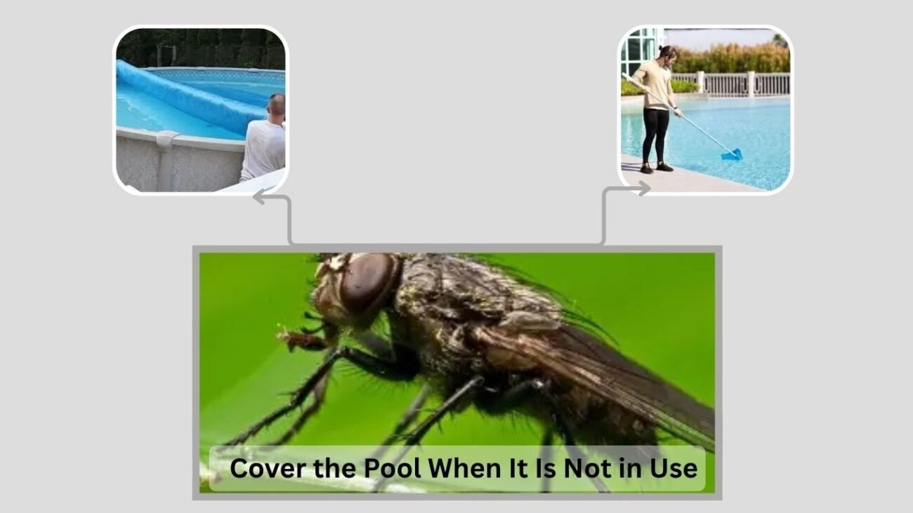 8. Cover the Pool When It Is Not in Use