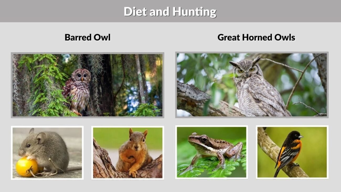 6. Diet and Hunting