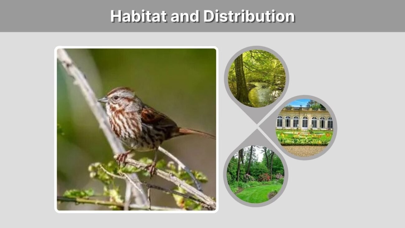Habitat and Distribution