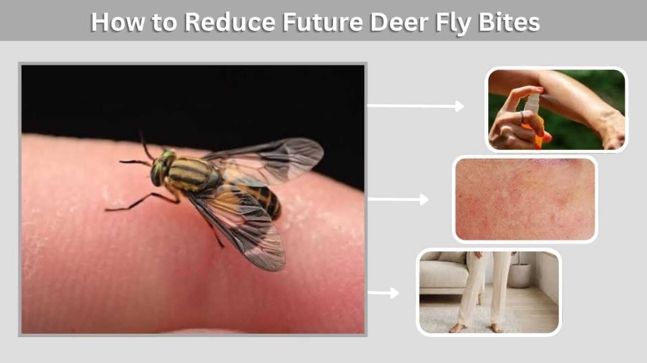 How to Reduce Future Deer Fly Bites