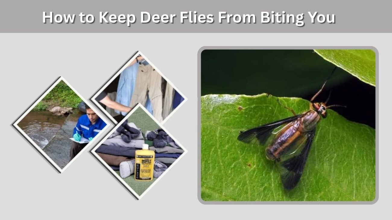 How to Keep Deer Flies From Biting You