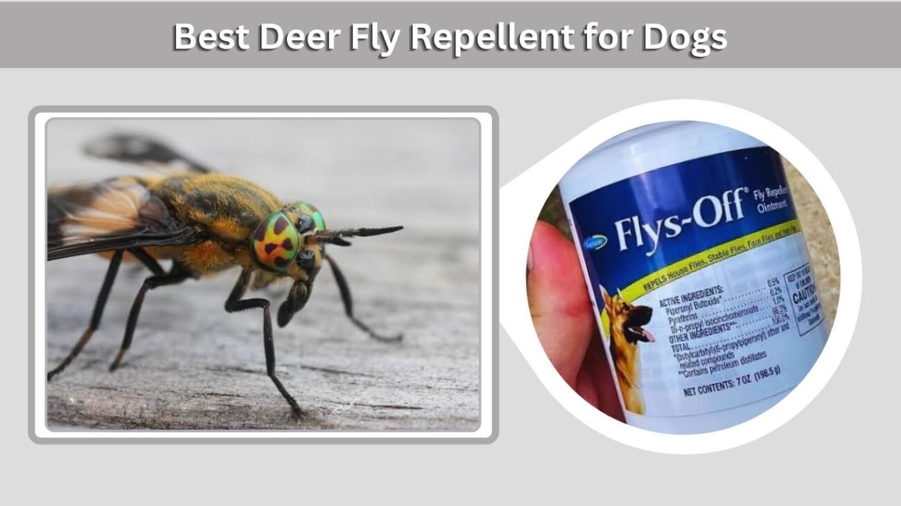 Best Deer Fly Repellent for Dogs