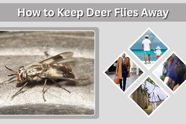 How to Keep Deer Flies Away: Best Ways to Prevent Bites
