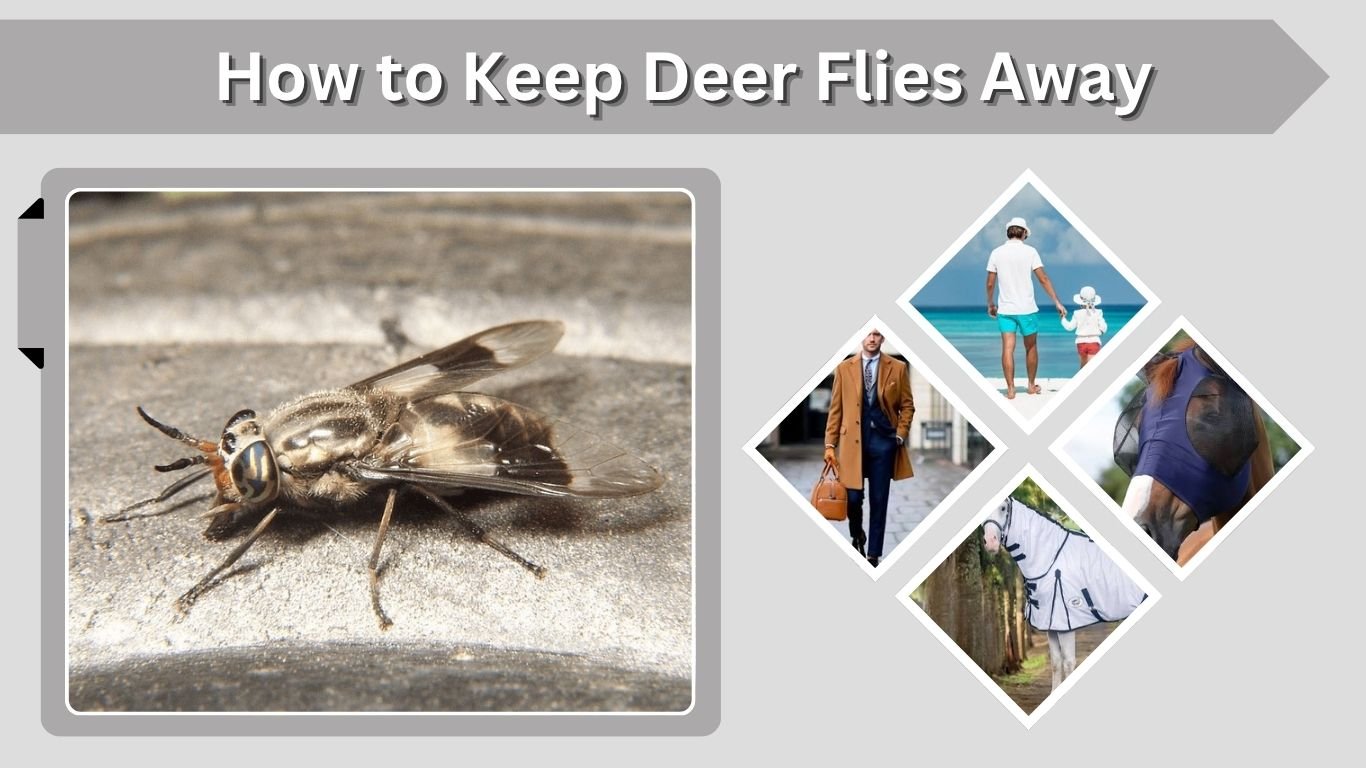 How to Keep Deer Flies Away: Best Ways to Prevent Bites