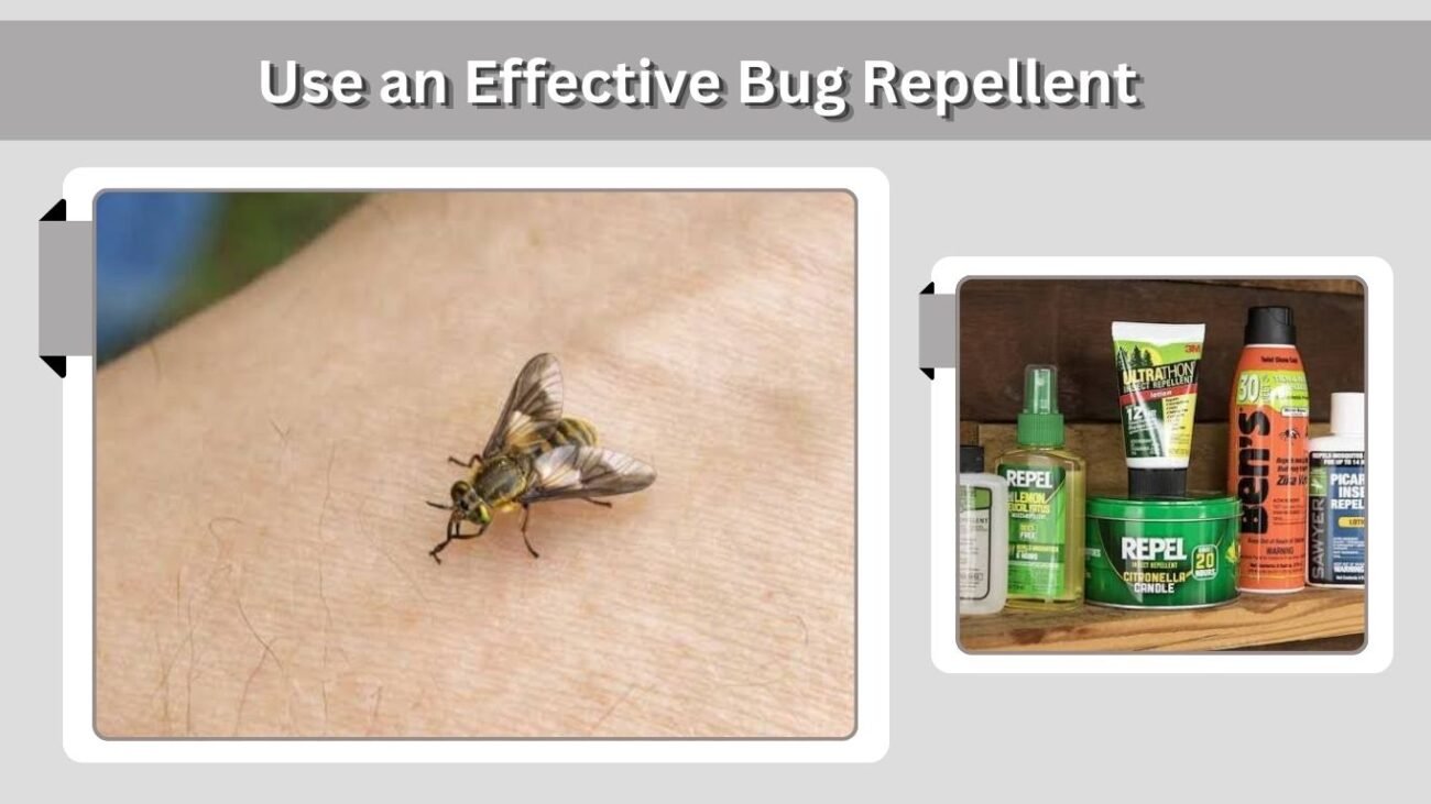 Use an Effective Bug Repellent