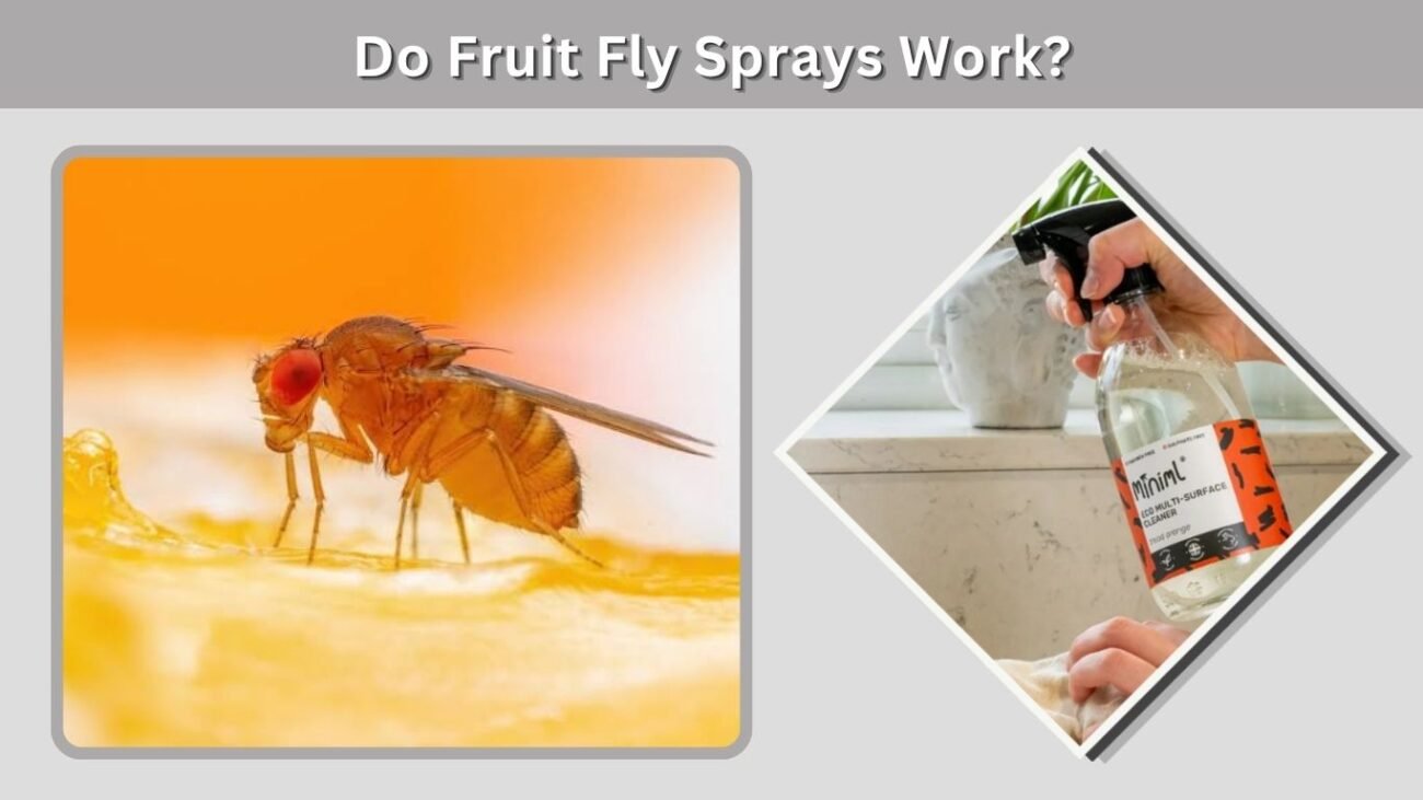Do Fruit Fly Sprays Work?